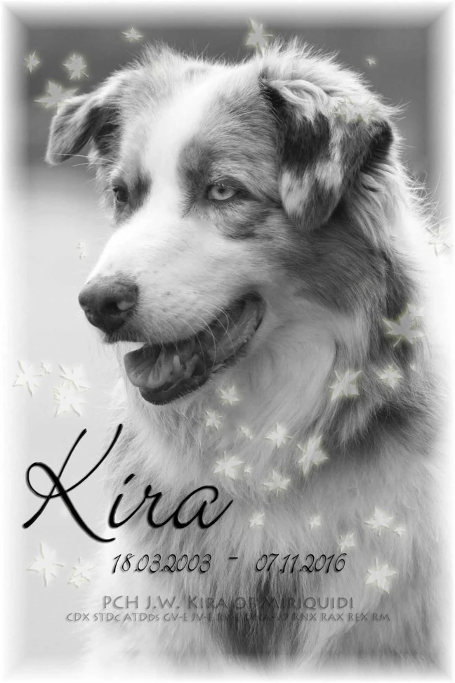 Kira